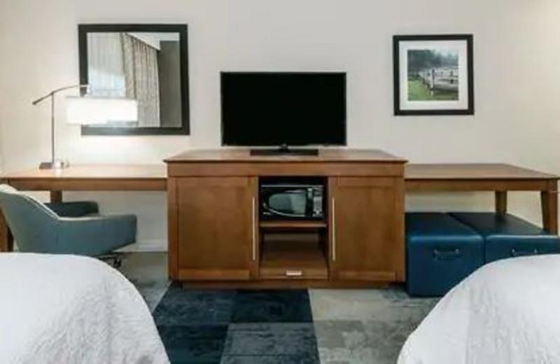 Hampton Inn & Suites San Antonio Brooks City Base, Tx Екстер'єр фото